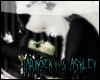 [AR]Noeky&Ashley