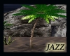 Jazzie-Swaying Palm