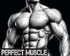 perfect muscle