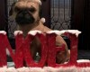 Wooden Noel Deco