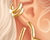 Gold Heart Earings