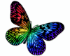 6v3| Colorful Butterfly