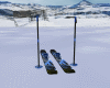 Ski's Animated