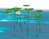 WaterFall Dream  lotus1