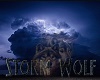 StormWolf Banner