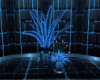 Blue Night DuoPlants