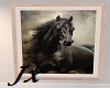Jx Black Stallion Pic