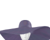 iva spring hat V2