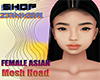 FEMALE ASIAN MESH HEAD