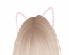 ~Pink Pearl Cat Ears~