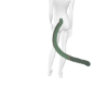 Haz-Tail-4