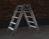 Garage Ladder
