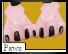 Female Sugar Paws