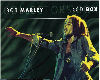Voice B Marley + Box