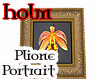 Portrait Plione Flower