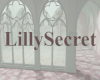 lillysecret shop room