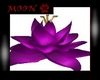 [MASS] Purple lotus