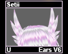 Setti Ears V6