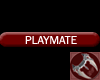 Playmate Tag