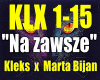 Na zawsze-M.Bijan&Kleks