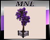 MNL Magical Purp Plants