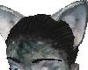 Wolf's Ears