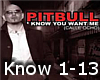 {J}PitBull-I Know You 