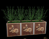 Planter v2