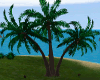 ! Holiday Island A/Palm.