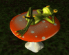 Frog On The Mushroom