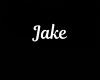 Jake  Necklace/F