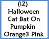 Cat Bat On Pumpkins O3Pi