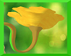 Dandelioness Tail