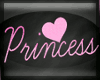 [R] Sign Princess