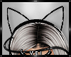 v. Dark Kitty: Ears2 (F)