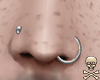 Nose Piercings [M]