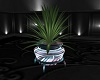 Potted Plant I