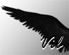 Angel's Secret Wings