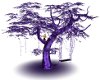 Purple Tree Swing