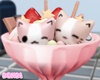 Cat Ice Cream e