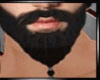 INITIO.SPN BeardsZort