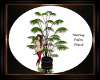 Tawny Palm Plant