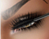 Kd Lashes