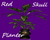 Red Skull Planter