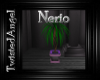 lTl Nerio Palm
