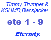 Timmy Trumpet/KSHMR
