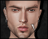 s. Mesh Luan