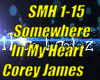 [SMH] Somewhere In My*