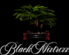 !BM RFT Potted Palm Tree