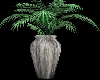 vase with green palm
